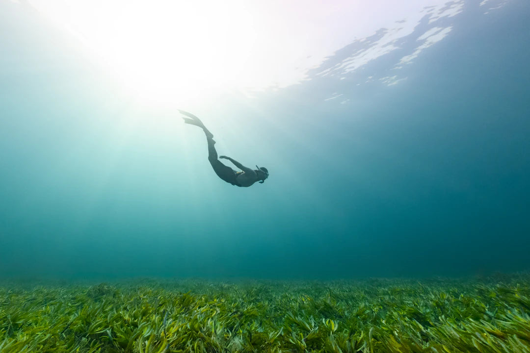 Swimming Embrace a Lifelong Skill and Hobby